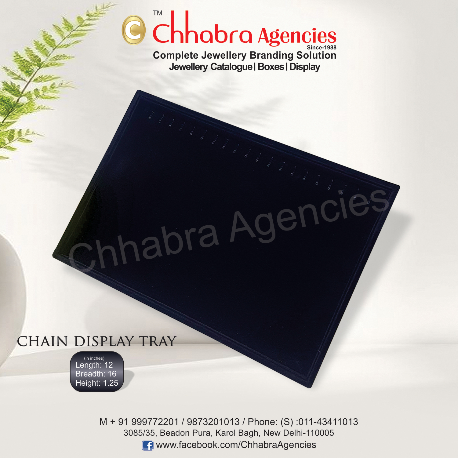 Chain & M/s Display Tray